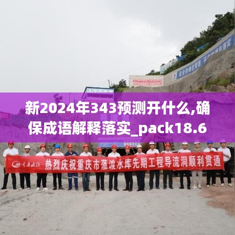 新2024年343預測開什么,確保成語解釋落實_pack18.672