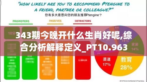 343期今晚開什么生肖好呢,綜合分析解釋定義_PT10.963
