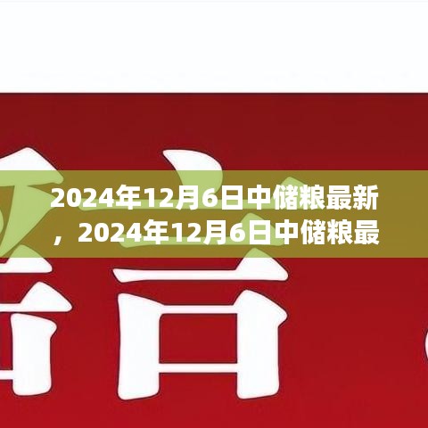 聚焦糧食儲備與管理創新，中儲糧最新動態報道