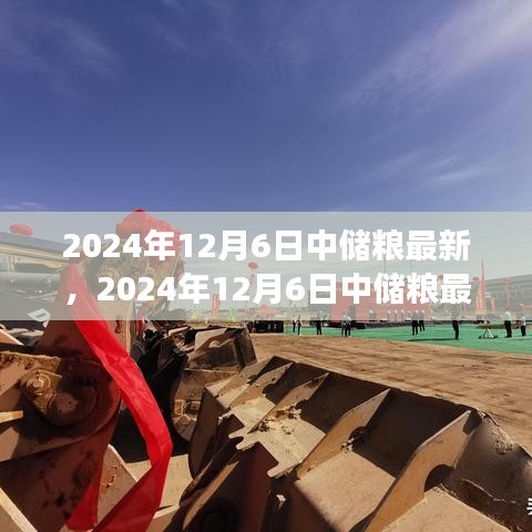 聚焦糧食儲備與管理創新,中儲糧最新動態報道