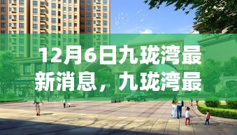 聚焦十二月六日,九瓏灣最新動態與要聞速遞