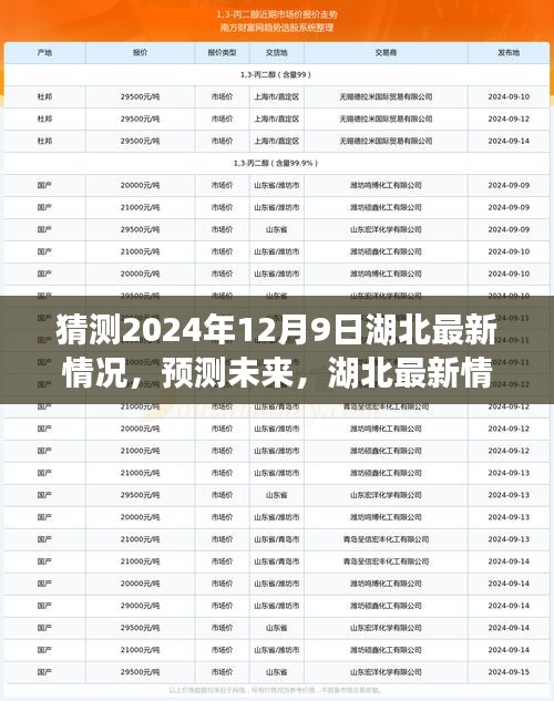 湖北未來展望，以2024年12月9日觀察節點預測湖北最新情況展望