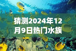探秘夢(mèng)幻水族館,預(yù)測(cè)2024年12月9日水族箱新風(fēng)尚與熱門趨勢(shì)