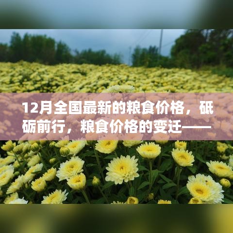 砥礪前行見證變遷，12月全國最新糧食價格及其背后的勵志故事。