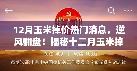 揭秘十二月玉米掉價背后的故事，逆風翻盤，成就無限可能！