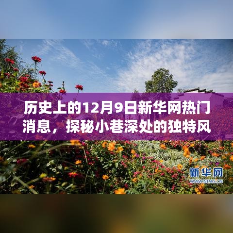 探秘小巷深處的獨特風味，歷史上的十二月九日新華網熱門消息深度解析