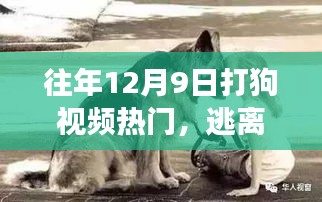 探索自然美景與狗同行，尋找內(nèi)心的寧?kù)o之旅