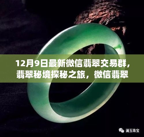 翡翠秘境探秘之旅,微信交易群新啟程與自然美景共舞