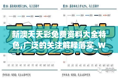 新澳天天彩免費資料大全特色,廣泛的關注解釋落實_WearOS8.175