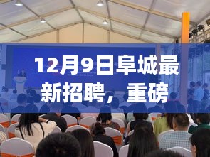 12月9日阜城最新招聘,重磅發(fā)布阜城最新高科技招聘產品——智能未來招聘助手,引領招聘新紀元,體驗科技改變生活的無限魅力