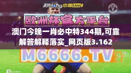 澳門今晚一肖必中特344期,可靠解答解釋落實_網頁版3.162