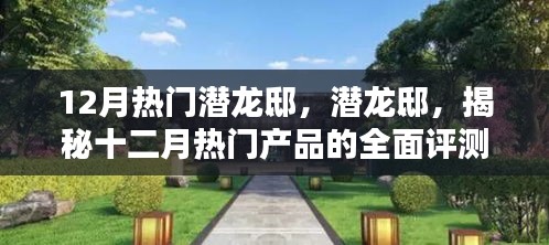 潛龍邸揭秘,十二月熱門產(chǎn)品全面評(píng)測(cè)與深度介紹
