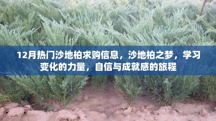 沙地柏之夢，探索學習變化的力量，自信成就感的旅程與最新求購信息