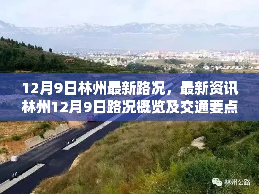 林州最新路況資訊,12月9日交通概覽及要點解析
