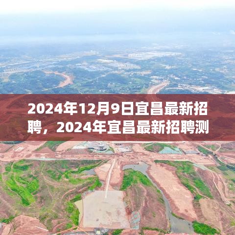2024年12月9日宜昌最新招聘,2024年宜昌最新招聘測評報告