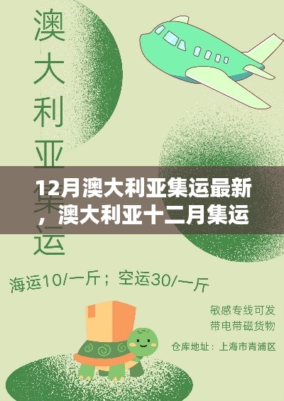 12月澳大利亞集運最新,澳大利亞十二月集運最新動態解析