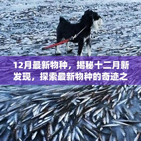 揭秘十二月新物種，探索最新發現的奇跡之旅