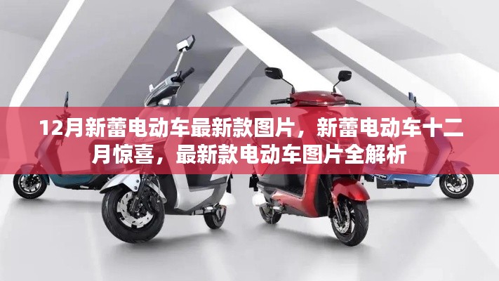 12月新蕾電動車最新款圖片全解析,新蕾十二月驚喜,領(lǐng)略最新款電動車風(fēng)采