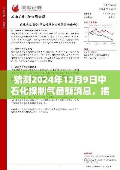 揭秘未來，中石化煤制氣最新動態與前瞻猜測 —— 展望 2024 年 12 月 9 日的最新消息