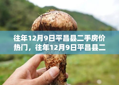 往年12月9日平昌縣二手房價解析，熱門趨勢與市場洞察