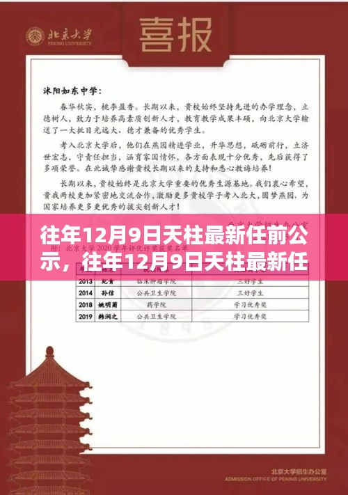 天柱最新任前公示詳解，流程步步為贏，助力輕松完成公示任務