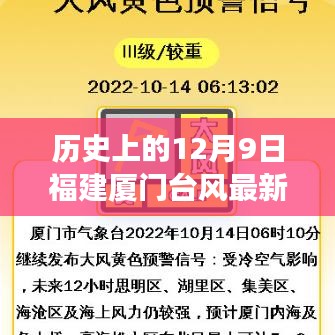 歷史上的12月9日福建廈門臺風最新消息全面解讀與最新動態分析