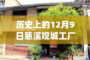 慈溪觀城工廠招聘盛況,舊日崗位與自然美景的探索之旅