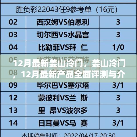 12月姜山冷門產品全面評測與介紹,最新產品一覽
