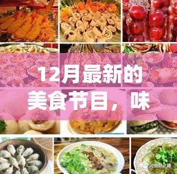 十二月美食盛宴,探索最新美食節(jié)目的獨(dú)特魅力與影響力