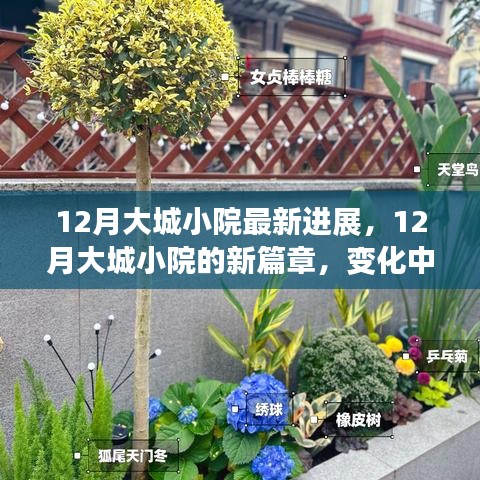 12月大城小院新進(jìn)展,變化中的學(xué)習(xí),自信與成就感的綻放