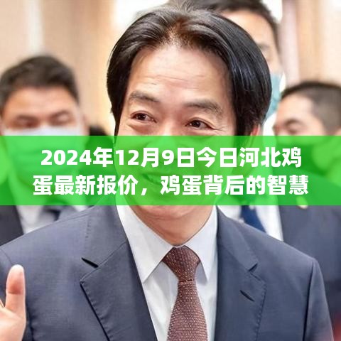 河北雞蛋最新報價背后的智慧,學習變化,自信成就未來(2024年12月9日)