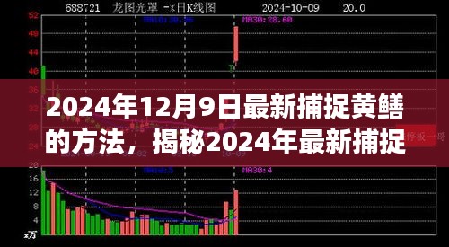 揭秘高效生態捕捉黃鱔新方法,2024年最新捕捉技巧分享。