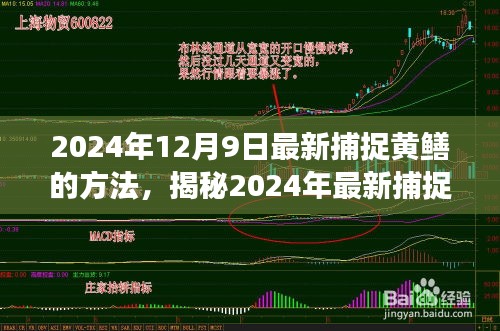 揭秘高效生態捕捉黃鱔新方法,2024年最新捕捉技巧分享。