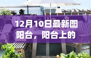 陽臺上的溫馨日常,陽光下的故事,12月10日的獨特時光