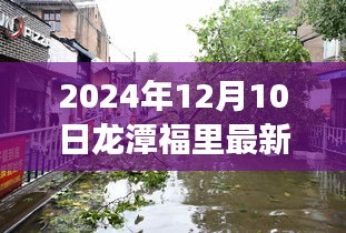 揭秘龍?zhí)陡@铼毺仫L情與最新房價探索之旅(2024年12月10日最新房價更新)