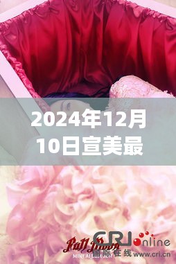 揭秘宣美最新動態,視覺盛宴預告,2024年12月10日盛大呈現!