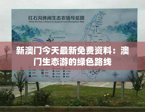 新澳門今天最新免費資料:澳門生態游的綠色路線