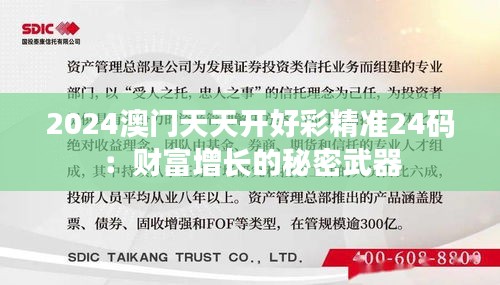 2024澳門天天開好彩精準24碼:財富增長的秘密武器