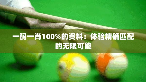 一碼一肖100%的資料：體驗精確匹配的無限可能