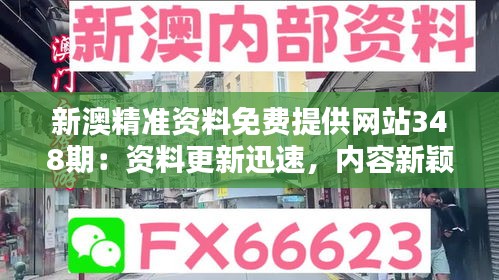 新澳精準資料免費提供網站348期:資料更新迅速,內容新穎