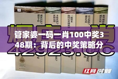 管家婆一碼一肖100中獎348期:背后的中獎策略分析