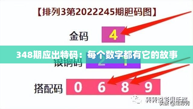 348期應出特碼:每個數字都有它的故事