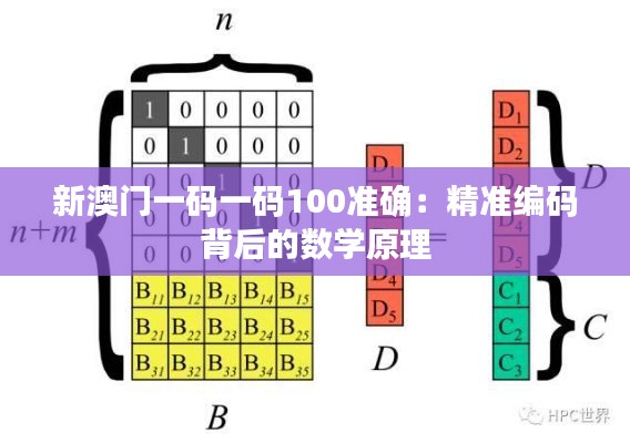 新澳門一碼一碼100準確:精準編碼背后的數學原理