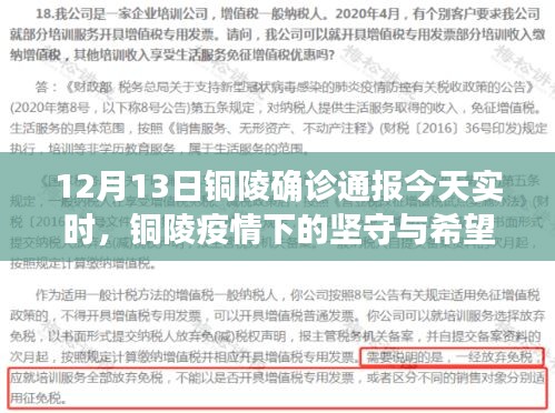 銅陵疫情下的堅(jiān)守與希望，最新實(shí)時(shí)確診通報(bào)觀察