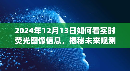 揭秘未來觀測，深度解讀實時熒光圖像信息，預(yù)見未來視界（2024年實時熒光圖像指南）