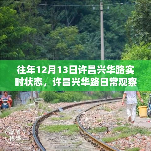許昌興華路12月13日實時狀態回顧與日常觀察指南,獲取往年實時狀態解析