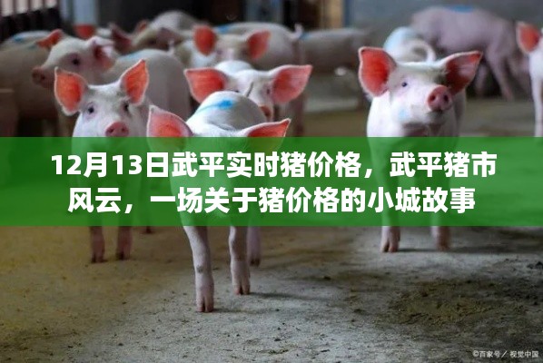 武平豬市風云,小城故事中的實時豬價格揭秘