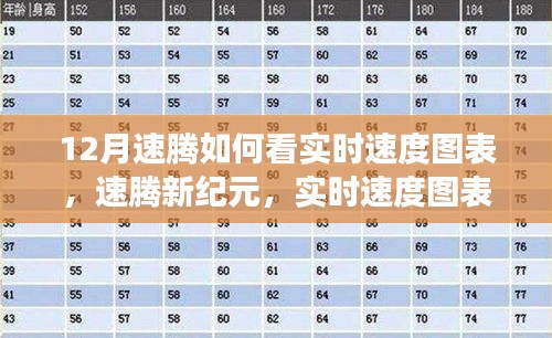 速騰新紀元,實時速度圖表科技重塑駕駛體驗解析