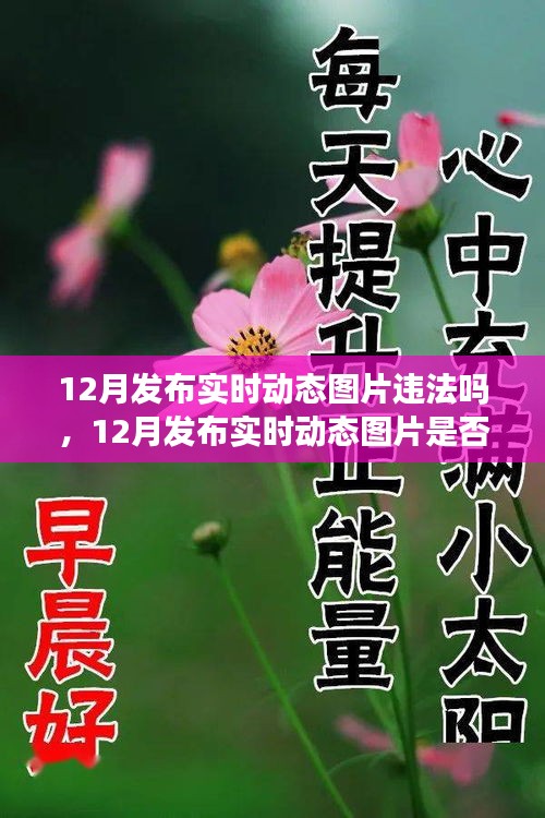 解讀，實時動態(tài)圖片發(fā)布是否違法？關于12月發(fā)布實時動態(tài)圖片的法規(guī)與案例分析