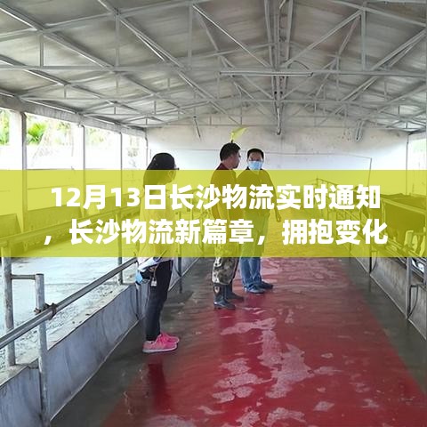 長(zhǎng)沙物流新篇章,擁抱變化,共舞奇跡